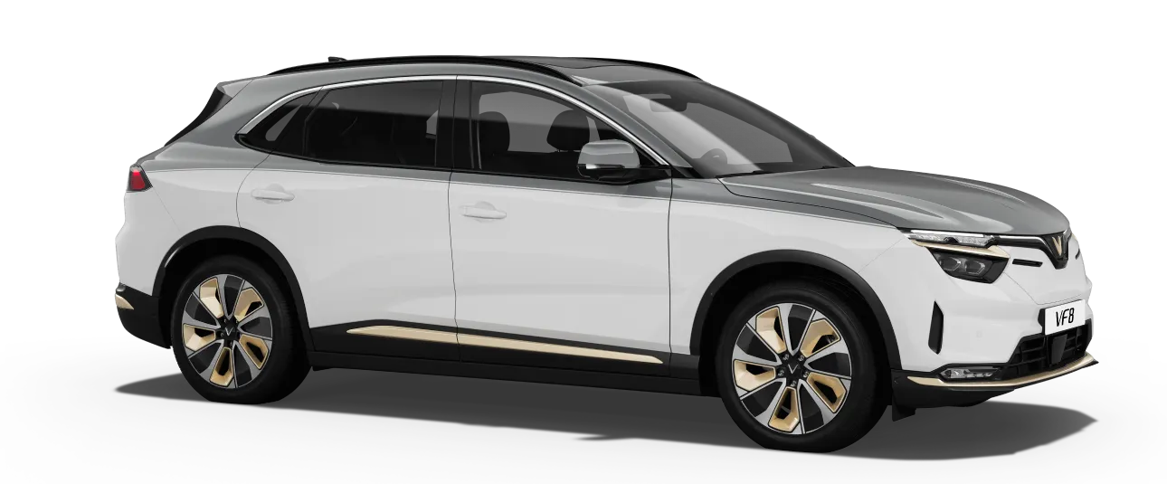 Infinity Blanc - Zenith Grey Roof