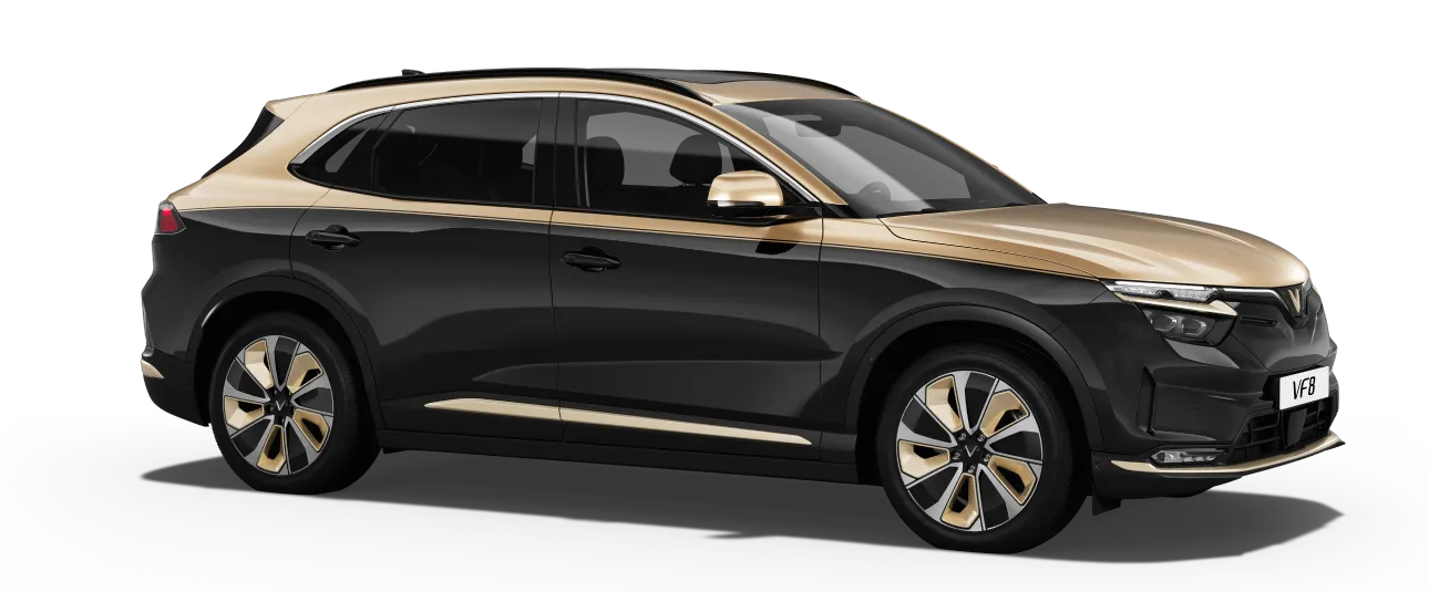Jet Black - Mystery Bronze Roof